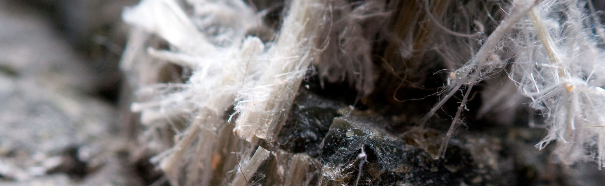 Close-up of Asbestos Fibers Close-up view of white asbestos fibers on a dark surface, showing their fibrous structure.