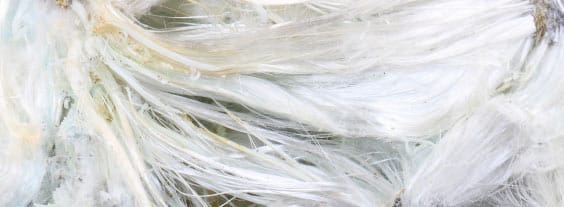 Asbestos Fiber Close-Up Close-up image of white asbestos fibers showing their fibrous texture and appearance.