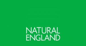 Natural England Logo Logo of Natural England featuring white text on a green background.